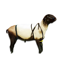 Marking Harness