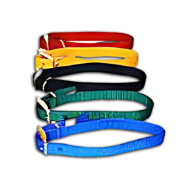 Nylon Buck Collar
