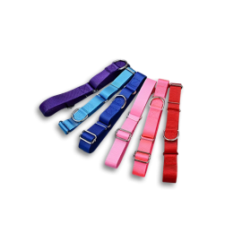 Nylon Kid Collars